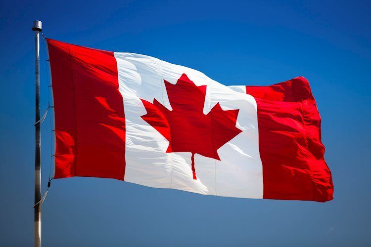 加拿大12月就业人数将增加8千 - 道明证券